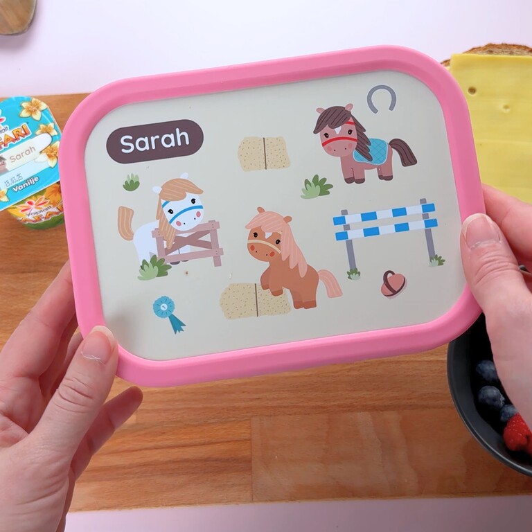pink lunchbox with horses