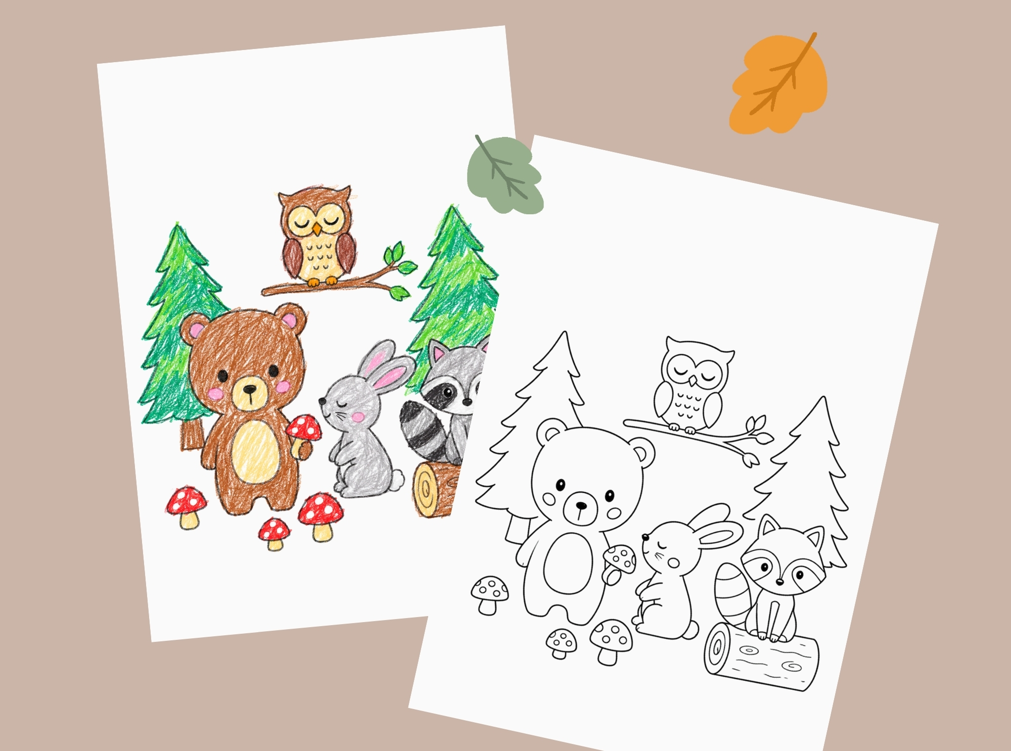 Free woodland animal colouring pages: download, print and get colouring 2 Woodland animal colouring pages